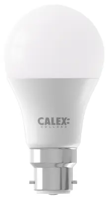 B22 LED Bulbs